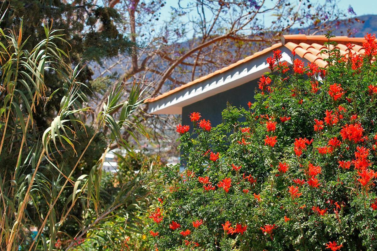 Casa Esther El Paso Bagian luar foto